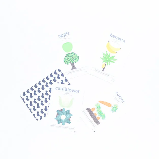 Flash Cards - Fruit and Vegetables
